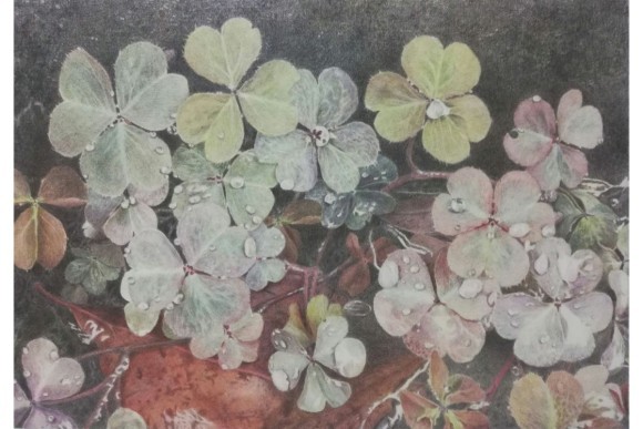 【日本橋Art.jp】牧野智さ子Web個展　時の行方