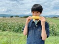 生で食べるのがおいしい「八ヶ岳生とうもろこし」