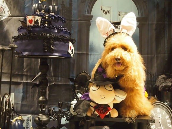 ハロウィンのお写真が撮れるフォトブース。テーマは「Pumpkin Wonderland」。