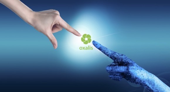 リファレンスチェックサービスのoxalis、AI分析「oxalis AI診断」を全サービスに無料付帯 — 採用のミスマッチ防止と精度向上を実現