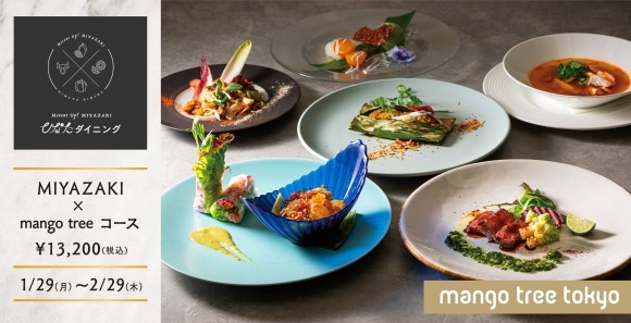 MIYAZAKI × mango tree