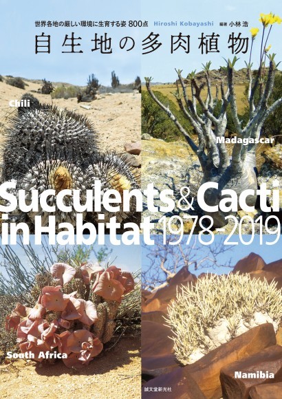 『自生地の多肉植物』