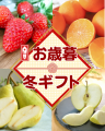 お歳暮・冬ギフト
