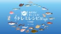 食育・魚食普及に貢献したい！洋食魚料理のレシピ本制作プロジェクト「魚料理が楽しくなる！ドレミレシピMagic（洋食編）」