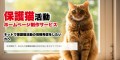 保護猫活動をサポートするブログ制作サービスを開始