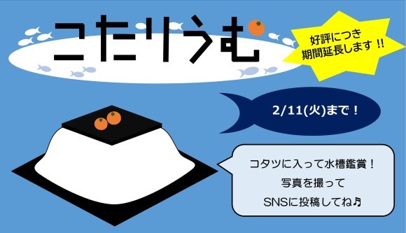 こたりうむで撮った写真をSNSへ投稿しませんか