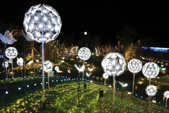 蝶が舞うタンポポの丘から眺めたHIKARIUMの世界