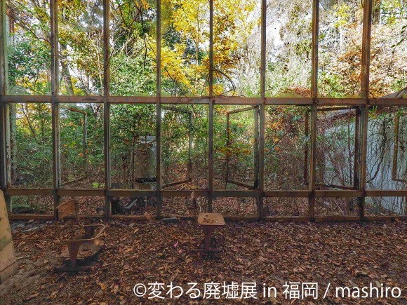 変わる廃墟展 in 福岡 @ mashiro