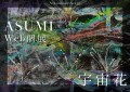 【日本橋Art.jp】ASUMI Web個展　宇宙花