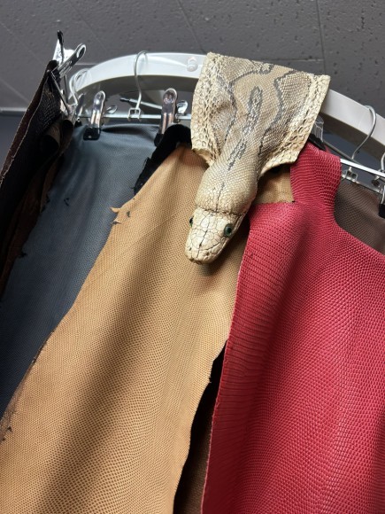 蔵前にあるエキゾチックレザー専門店の『リボーン』の店舗内写真