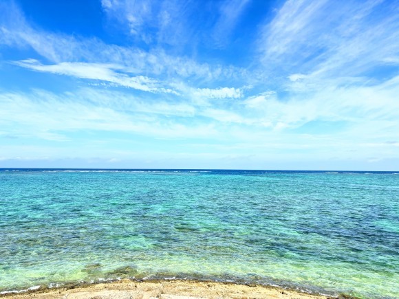 海の異変は地球のSOS？気候変動と海の未来