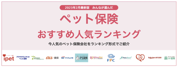 株式会社 エレメント