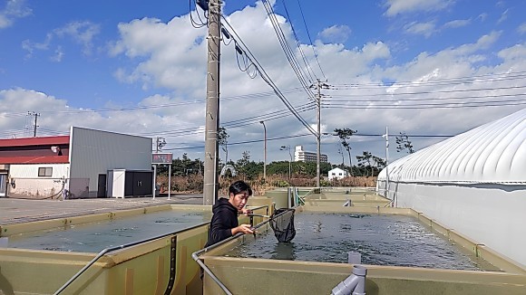 小林海苔店、「千葉県がリードするブルーカーボンとヨウ素製造のリンクプロ ジェクト」参画決定！