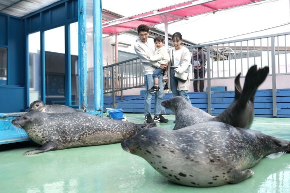 ゴマちゃんゴロゴロ