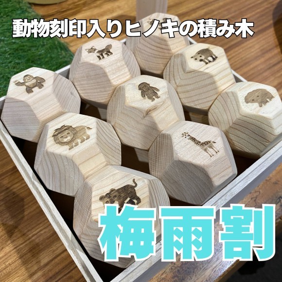 梅雨割スタート！16,500円が12,000円で変えるコスパ大作戦　