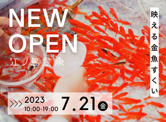 NEW OPEN　江ノ島金魚