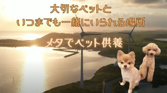 メタでペット供養サムネイル