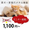 愛犬・愛猫爪メタル検査