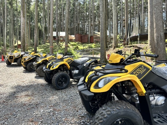 バギー体験の様子