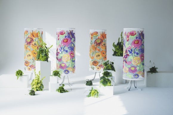 リユース祝い花「BLONIA」