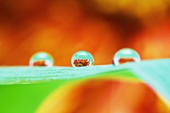 中小企業成長促進補助金