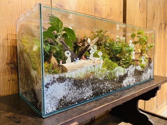 【兵庫】NinjaFoods、苔テラリウム専門店のオフィススナックとして導入