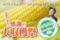 100年後も世界一おいしいとうもろこしを目指す！五感で味わう感謝の大収穫祭を開催