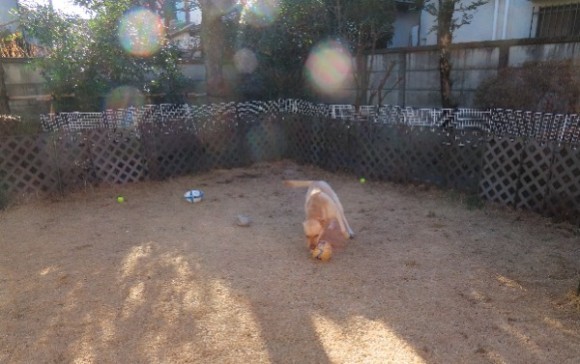 弥和山さんが撮影した光