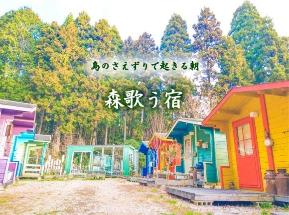 森歌う宿、鳥のさえずりで起きる朝