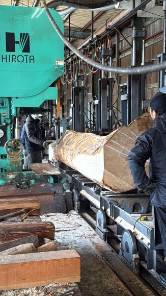 鬼無里産の原木、板屋楓を製材しています。