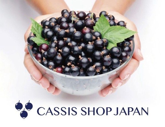 カシス専門のネットショップ「カシス・ショップ・ジャパン」サイトトップ