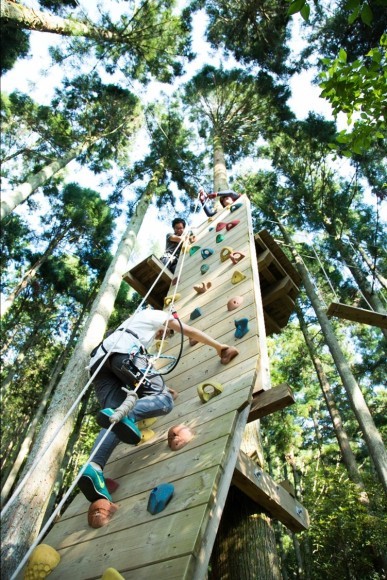 クライミングできるアクティビティも！