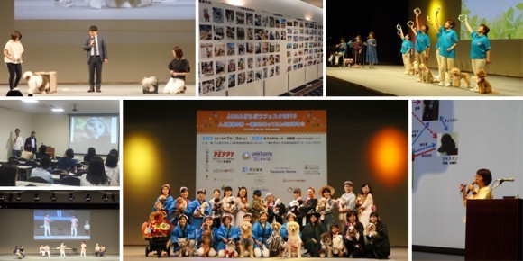 どうぶつフェスタ2019会場の様子