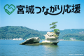 『宮城つながり応援』の共創企業に認定