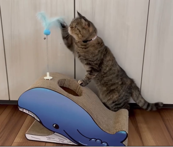研いで、遊んで！ストレス解消！ 「猫の爪とぎ・じゃらし付き　クジラ」が コメリのオリジナルブランド「Pet ami（ペットアミ）」より登場