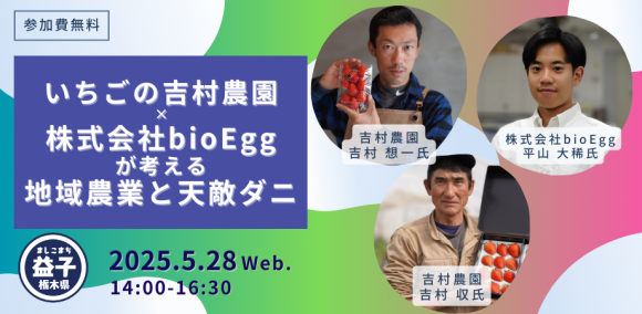 いちごの吉村農園×株式会社bioEggが考える地域農業と天敵ダニ