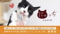 罪悪感ゼロのねこ様用ピューレ「にゃっち」新発売