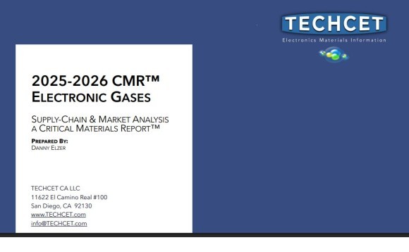 Electronic Gases - 2025-2026