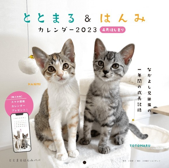 ととまる＆はんみカレンダー2023　4月はじまり