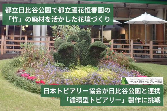 日本トピアリー協会が日比谷公園と連携「循環型トピアリー」製作に挑戦