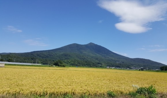 産地連携推進緊急対策事業