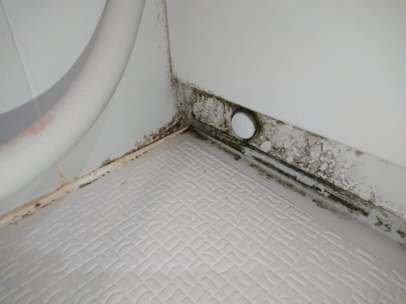 ままにこにこカビクリーナー&パイプクリーナーとは？