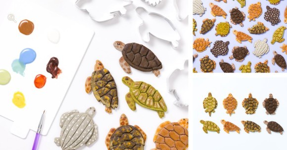 ウミガメの多様性をクッキーで表現