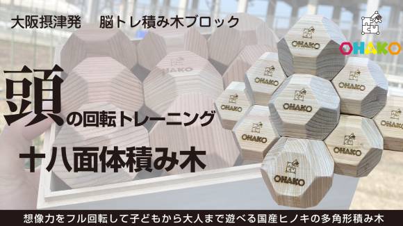頭の回転トレーニングになる脳トレ積み木ブロック　OHAKO