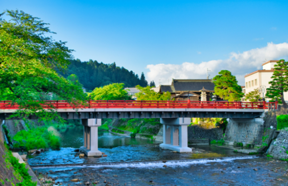 高山名物　「ほうば味噌」