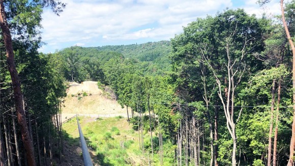 山添村の大自然と文化を感じる森林リトリート