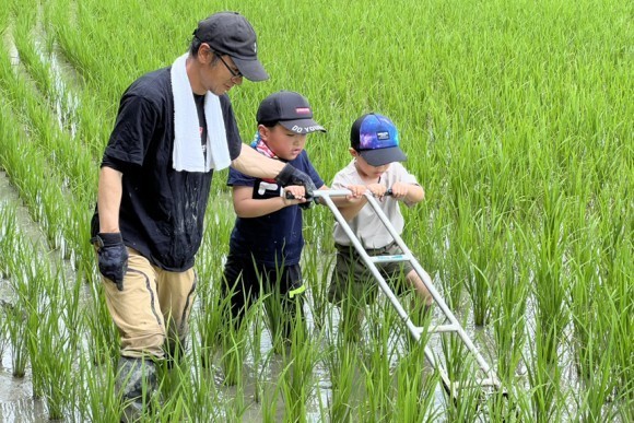 田ぐるま体験、３年目