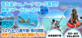 宮古島シュノーケリング専門予約サイト