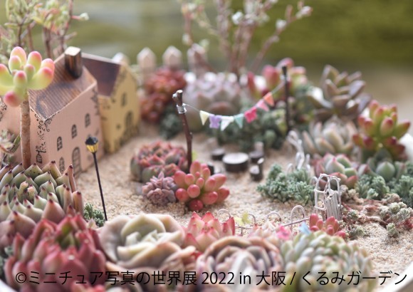ミニチュア写真の世界展 2022 in 大阪 @ くるみガーデン