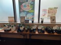 「MGgreen」立川支社店頭販売コーナー（美光印刷1F）／アガベ・多肉植物などを現物販売中！